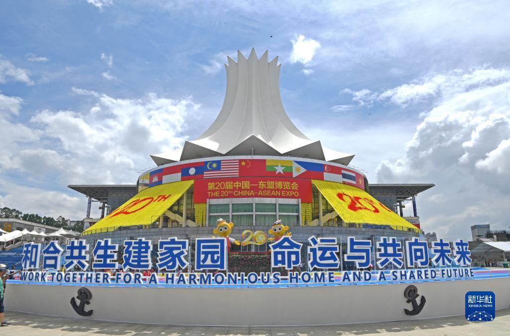 五龙争霸app
